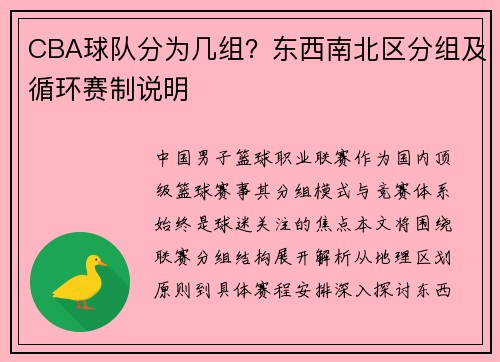 CBA球队分为几组？东西南北区分组及循环赛制说明