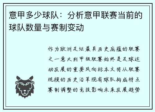 意甲多少球队：分析意甲联赛当前的球队数量与赛制变动