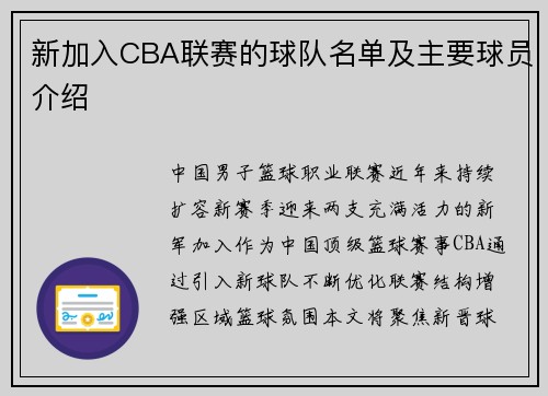 新加入CBA联赛的球队名单及主要球员介绍