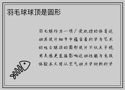 羽毛球球顶是圆形
